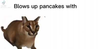 rule