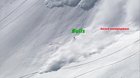 Bulls Take a Casual Day on the Slopes