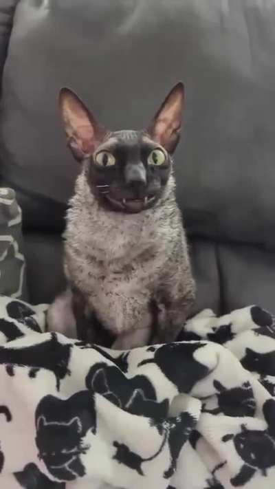 …