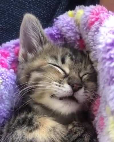 Dreaming of endless milk bowls