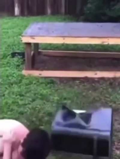 Jumping on a solid object, solid idea.
