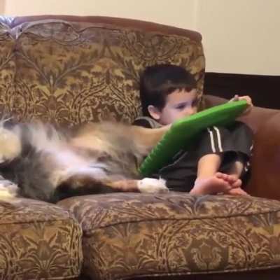 Mans best friend in action