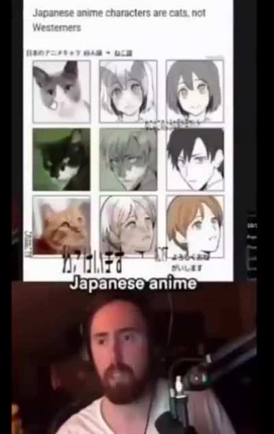 (heil spez) Anime Characters are cats