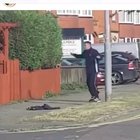 Thriller