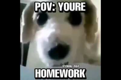 You're homework now