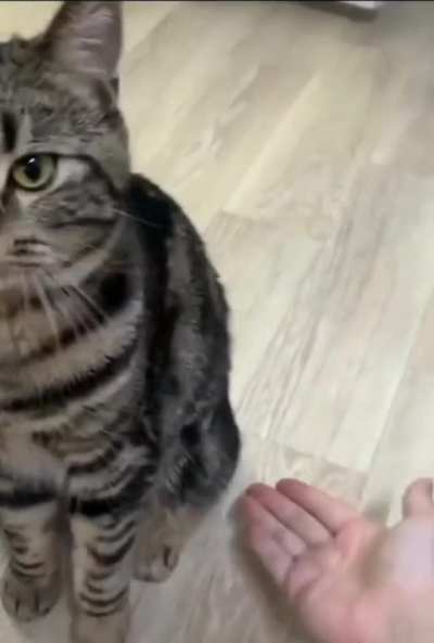 Only certain people know this secret handshake…