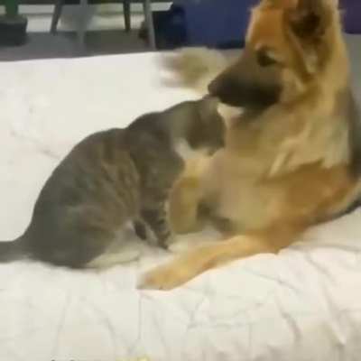 Cuddle me you jerk