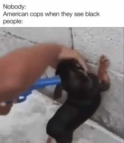 They are always sus