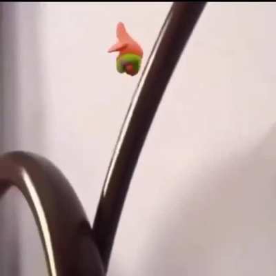 Aaaaa