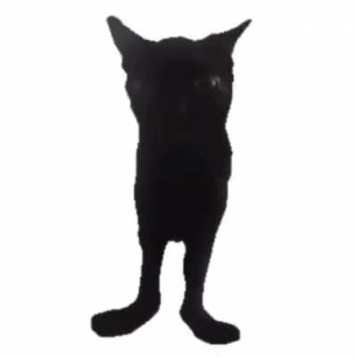 Menacing cat
