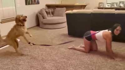 Gerçekten aranızda köpeklerden nefret eden varsa götünü sert sikeyim