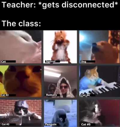 Only on of these videos had audio on, guess which one if you can