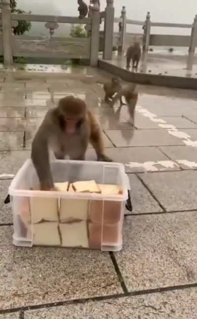 Cris O'neil and company when he finds epic hard copies of the nostalgia critic at a thrift store