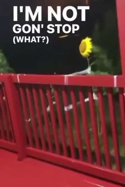 This one is not cringe, just wanted to share. Fight on little plant, dude.