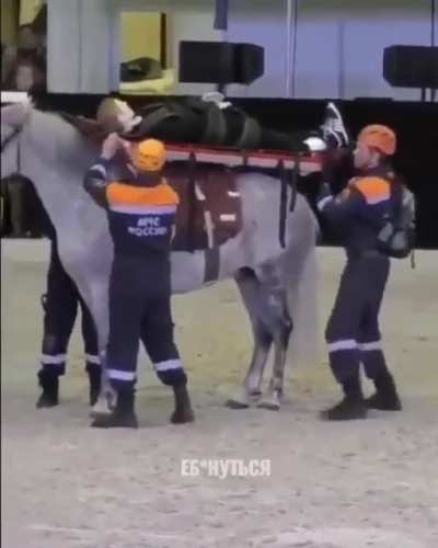 The rare moment when r/onejob and r/r/animalsbeingderps collide...