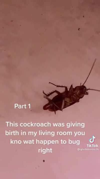 Double homicide