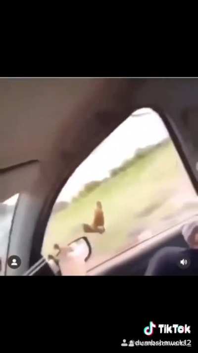 cursed_chicon