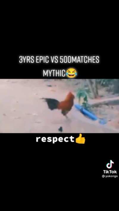 Respect:)