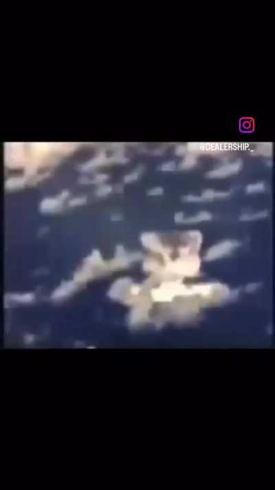 Rip