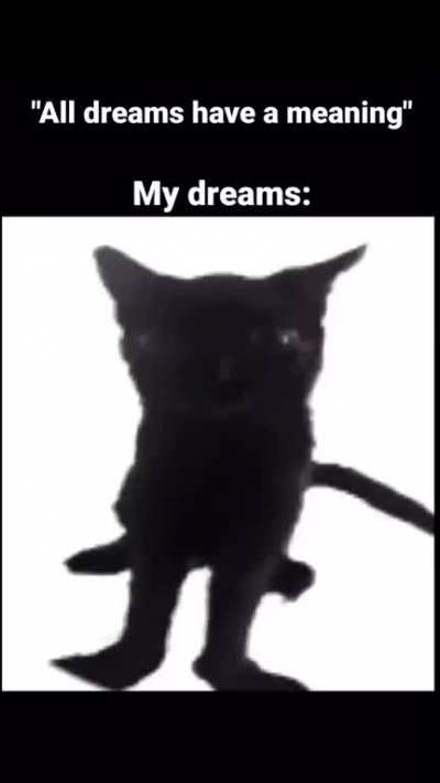 my dreams