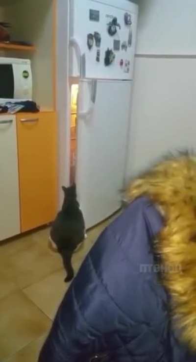 That’s it for us humans