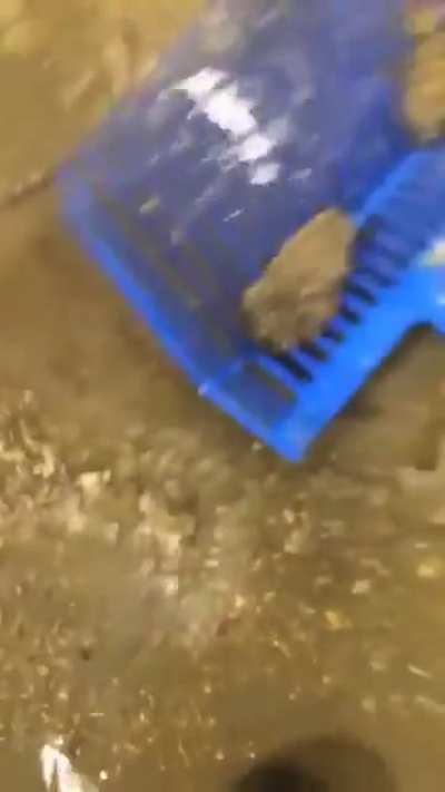 cellphone rescue