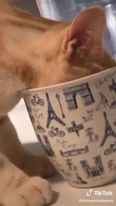 Milk Thief