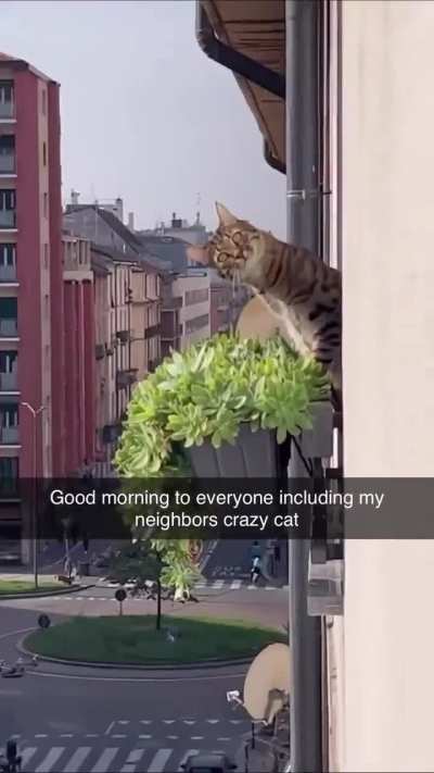 International Spy