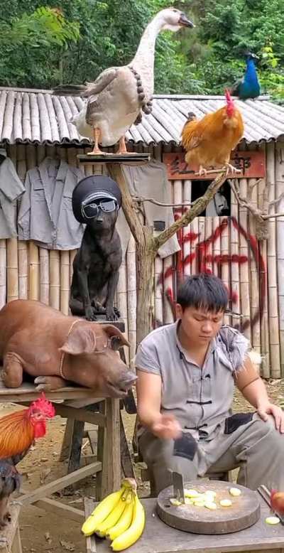 Feeding time