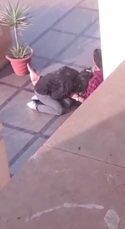 NSFW PUBLIC BLOWJOB