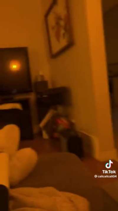 Doggy FaceTime