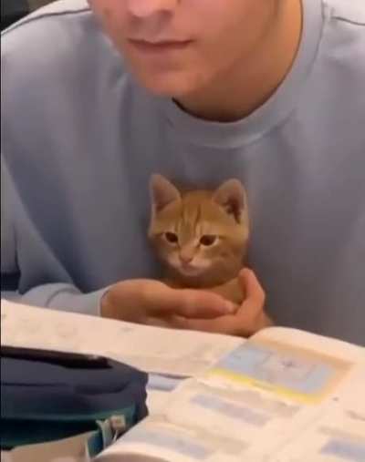 Studying Together!