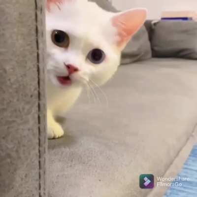 Big round eyes