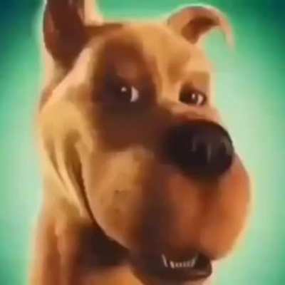 Scoobert Doobert!