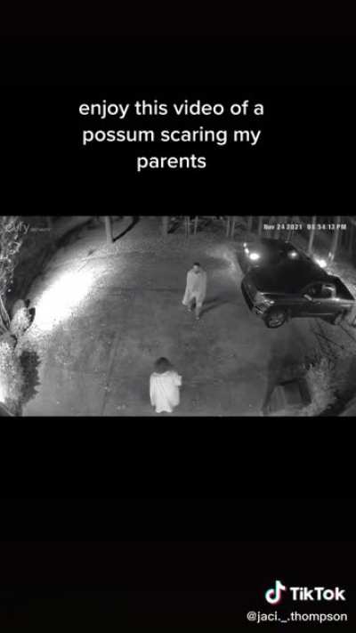 Possum scaring parents
