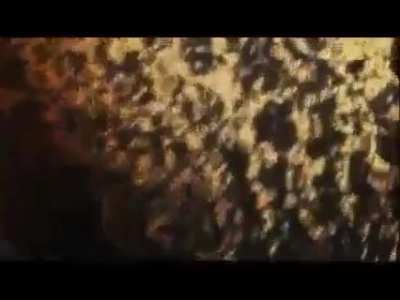 Volume Up