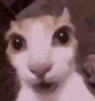 me when i realize, that im not a funni boykisser