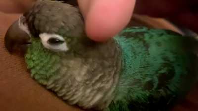 😴😴😴