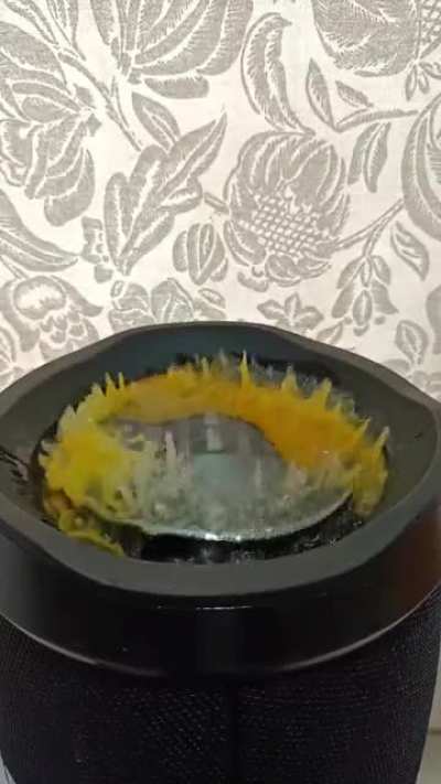 Egg feels the vibes