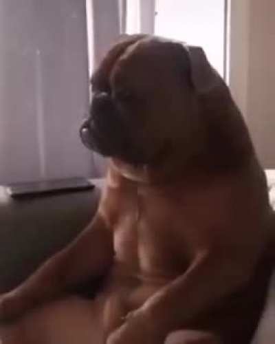 Just like me after the 12 hours shift