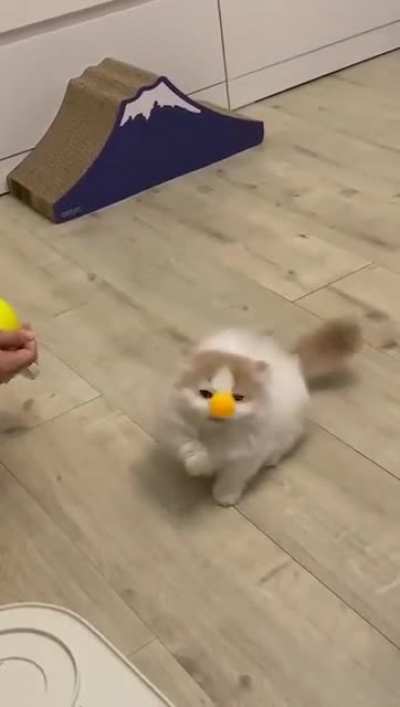 Playing the ball