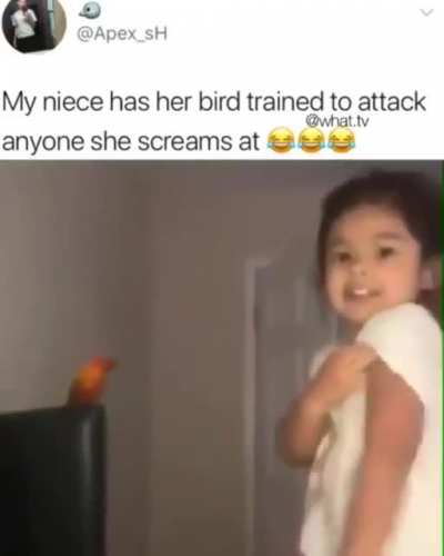 attack