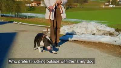 What a fucking place