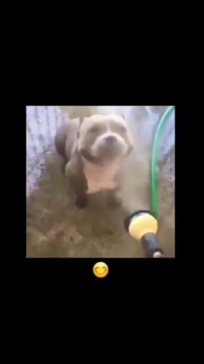 😊