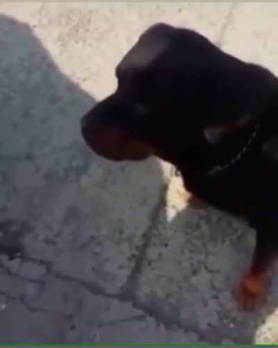 :(