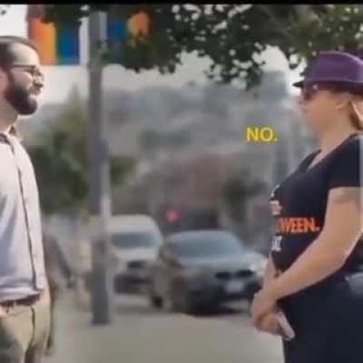 what's a cat?