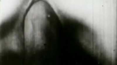 Unknown (1930s)