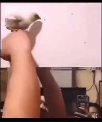 69 ways to kill Mosquitoes