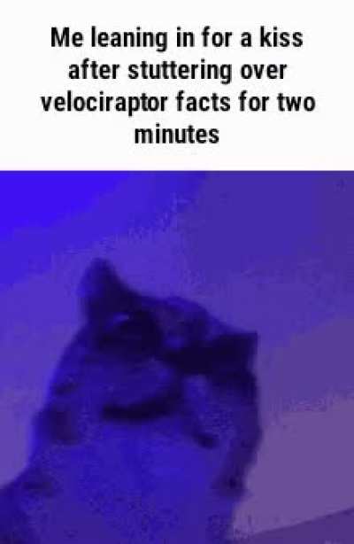 But with obscure hip-hop facts and history