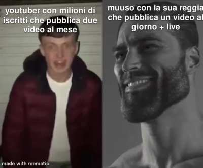 Povero muuso